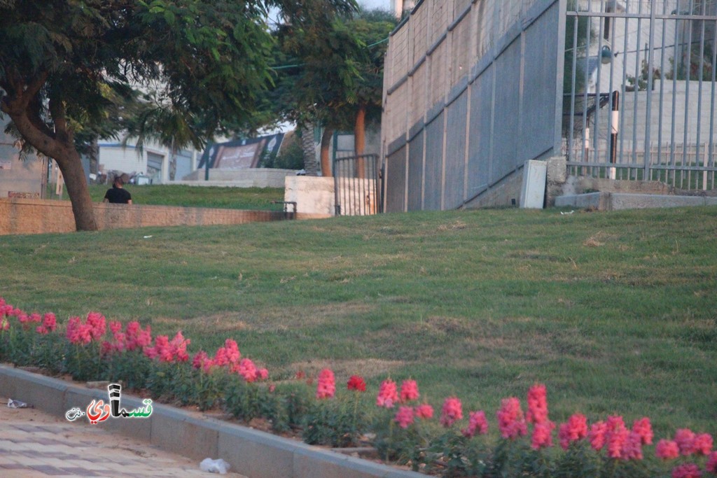 كفرقاسم : حديقة الملاعب تكتسي بالعشب الاخضر والزهور والبلدية تؤكد  تم وضع برنامج صيانة دائم لكل المنتزهات والحدائق والشوارع   